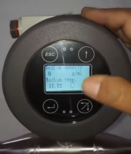 Direct mass flow measurement of ketchup